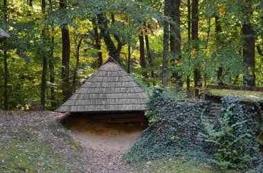 Ormandaki eski taş ev.