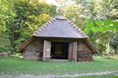 Ormandaki eski ahşap ev