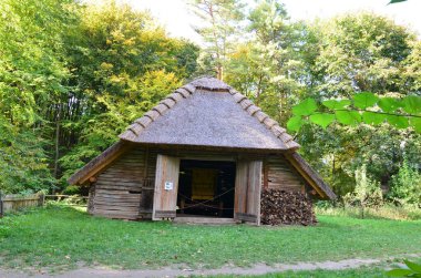 Ukrayna köyündeki ahşap ev.