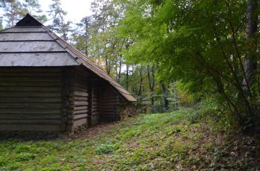 Ormandaki eski ahşap ev