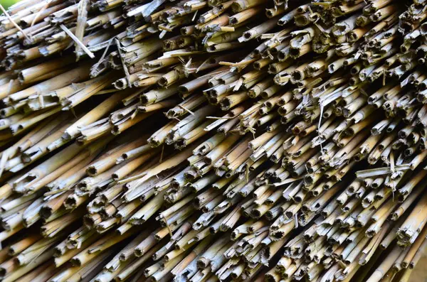 Bambu doku arka planı için