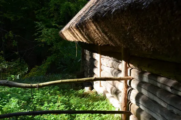 Ormandaki eski ahşap ev