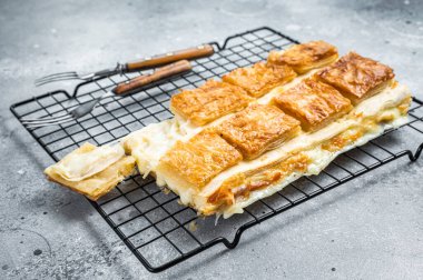 Turkish cheese stuffed filo dough borek or Su boregi. Gray background. Top view.