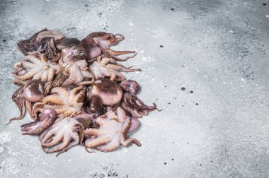 Bunch of raw young baby octopus on kitchen table. Gray background. Top view. Copy space.