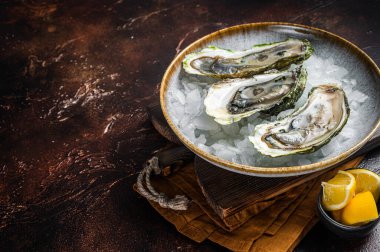 Opened Fresh oysters with lemon and ice in a plate. Dark background. Top view. Copy space.