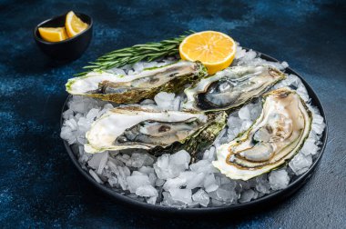 Deniz ürünleri aperatifi. Limon ve buzla açılmış taze istiridye. Mavi arka plan. Üst görünüm.