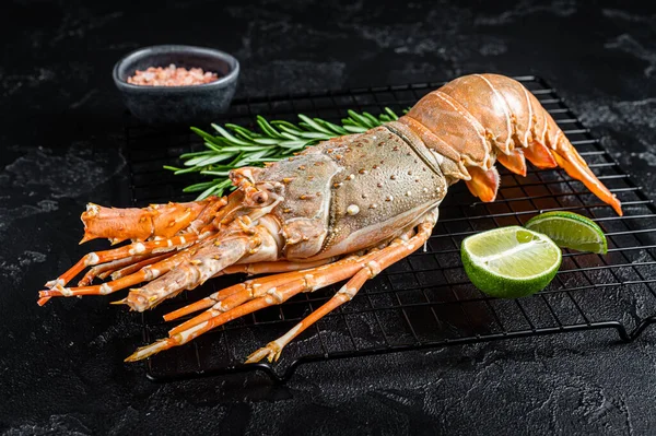 Boiled Spiny lobster or sea crayfish ready for eat. Black background. Top view.