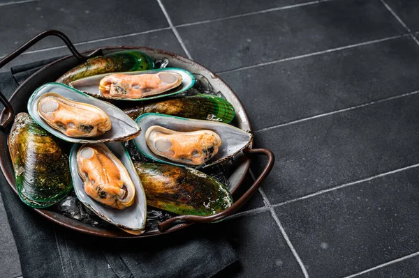 Large green mussels in shells on tray with ice. Black background. Top view. Copy space.