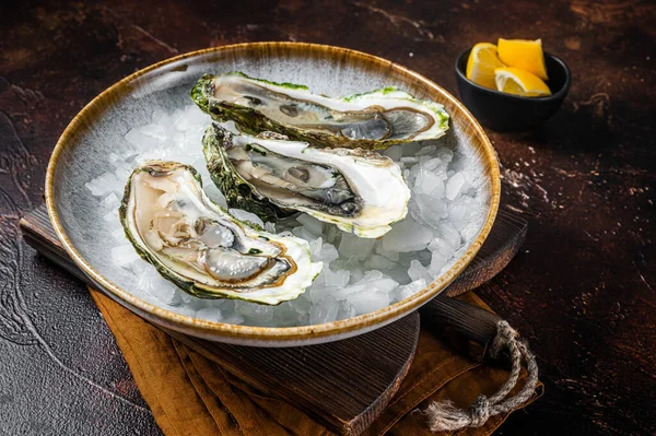 Limonlu ve buzlu taze istiridye. Karanlık arka plan. Üst görünüm.