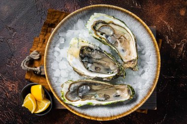 Limonlu ve buzlu taze istiridye. Karanlık arka plan. Üst görünüm.