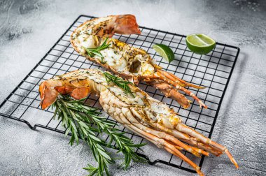 Barbecue grilled and sliced Spiny lobster or sea crayfish with herbs. White background. Top view.