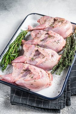 Raw quail meat with spices, garlic and herbs ready to cooking in baking dish. White background. Top view.