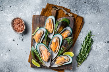 Cooked large green kiwi mussels in shells with herbs and garlic. Gray background. Top view.