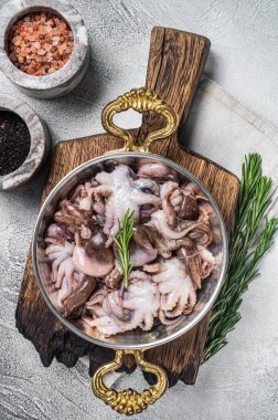 Tavada çiğ küçük yavru ahtapot pişirmeye hazır. Beyaz arka plan. Üst görünüm.