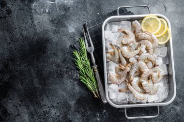 Raw pacific white shrimp prawn peeled with tail on ice. Black background. Top view. Copy space.