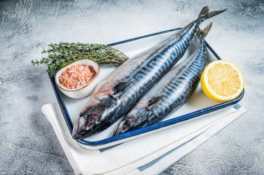 Raw mackerel scomber fish with ingredients for cooking in baking dish. White background. Top view.