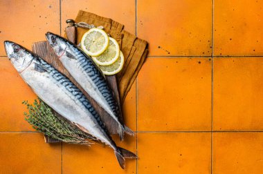 Raw mackerel fish, Scombrus with herbs and spices on wooden board. Orange background. Top view. Copy space.