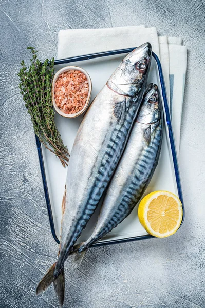 Raw mackerel scomber fish with ingredients for cooking in baking dish. White background. Top view.