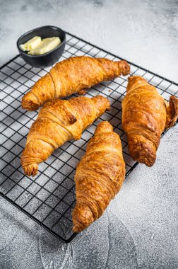 Baked Croissants on a cooling rack. White background. Top view.