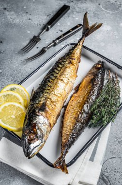 Roasted Mackerel Scomber fish in baking dish. Gray background. Top view.