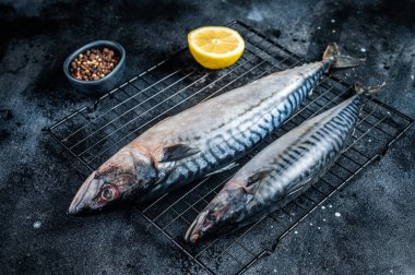 Fresh Raw mackerel scomber fish ready for grilling. Black background. Top view.
