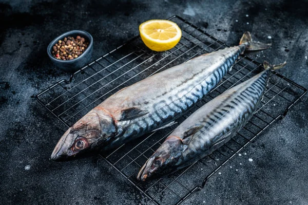 Fresh Raw Mackerel Scomber Fish Ready Grilling Black Background Top — Stok fotoğraf