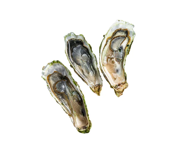 Seafood Brassiere Abra Ostras Com Limão Isolado Sobre Fundo Branco — Fotografia de Stock