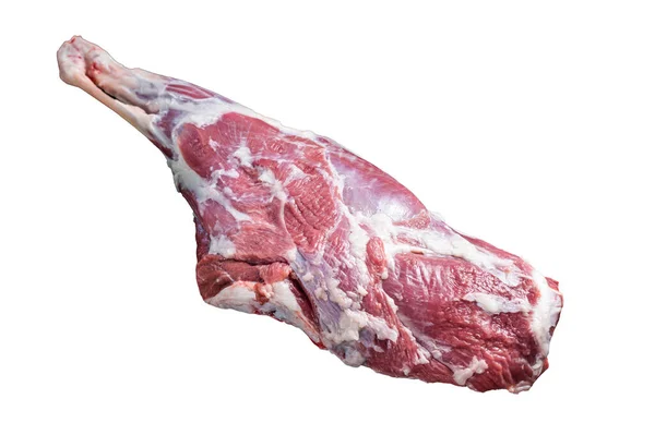 准备用大腿肉烹调生羊腿 因白人背景而被隔离 — 图库照片