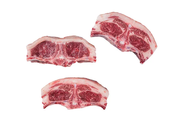 Roh Frisches Fleisch Lamm Hammelsattel Isoliert Auf Weißem Hintergrund — Stockfoto