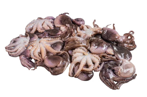 Banda Syrové Mladé Chobotnice Kuchyňském Stole Izolováno Bílém Pozadí — Stock fotografie