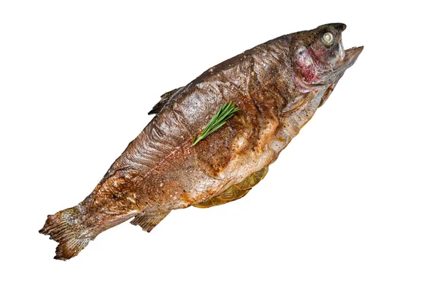 烤海鳟鱼 烤鱼与迷迭香烤 因白人背景而被隔离 — 图库照片