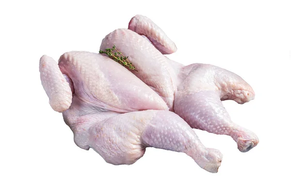 Çiğ Spatchcock Tavuk Eti Sarımsak Kekik Beyaz Arkaplanda Izole — Stok fotoğraf