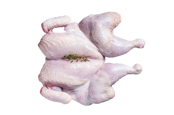 Surowe Mięso Kurczaka Czosnkiem Tymiankiem Izolacja Białym Tle — Zdjęcie stockowe