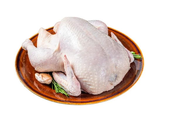 Tavuk Çiğ Kümes Hayvanları Biberiye Beyaz Arkaplanda Izole — Stok fotoğraf