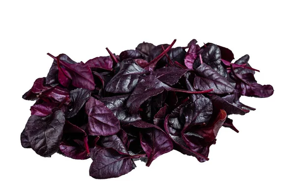 Leaves of Swiss red chard or Mangold salad. Isolated on white background