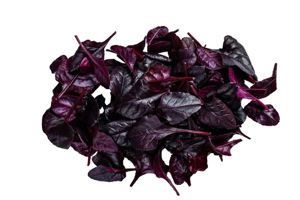 Leaves of Swiss red chard or Mangold salad. Isolated on white background