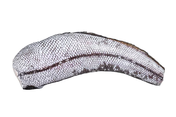 Granadeiro Cru Macrurus Fish Isolado Sobre Fundo Branco — Fotografia de Stock