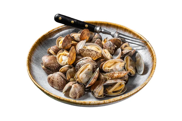 Steamed Cooked Shells Clams Vongole Plate Herbs Isolated White Background — Stock Photo, Image