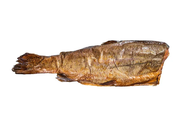 Hot Smoked Rainbow River Trout Headless Isolated White Background — Stock Photo, Image