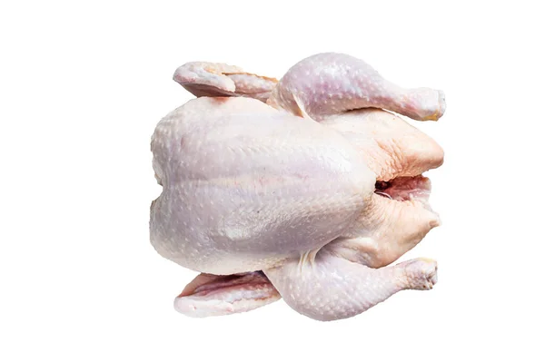 Surowy Kurczak Wolnym Wybiegiem Stole Kuchennym Izolacja Białym Tle — Zdjęcie stockowe