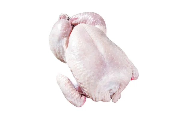 Főzés Nélkül Nyers Egész Csirke Táblán Kakukkfűvel Rozmaringgal Fehér Alapon — Stock Fotó