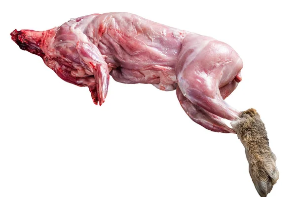 Liebre Caza Entera Carne Cruda Sobre Una Vieja Mesa Rústica — Foto de Stock