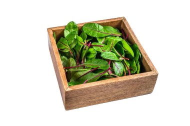 Çiğ yeşil pazı mangold yaprakları ahşap bir kutuda. Beyaz arkaplanda izole