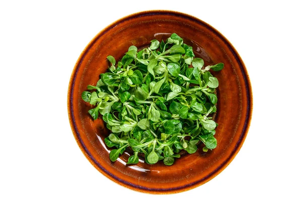 Fresh Green Corn Salad Leaves Rustic Plate Isolated White Background — Stock Photo, Image