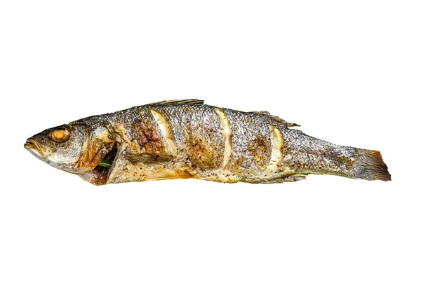 Baked Sea Bass Vis Met Arugula Gegrilde Zeebaars Geïsoleerd Witte — Stockfoto