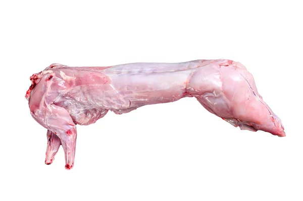 Carne Iepure Crud Condimente Pentru Gătit Izolat Fundal Alb — Fotografie, imagine de stoc