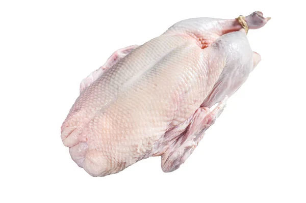 Pato Inteiro Cru Carne Aves Isolado Sobre Fundo Branco — Fotografia de Stock