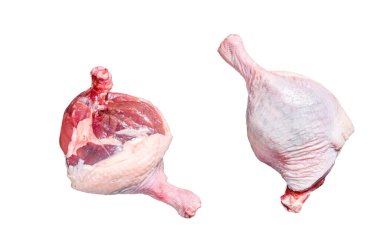 Bedava çiğ ördek bacağı. Beyaz arkaplanda izole