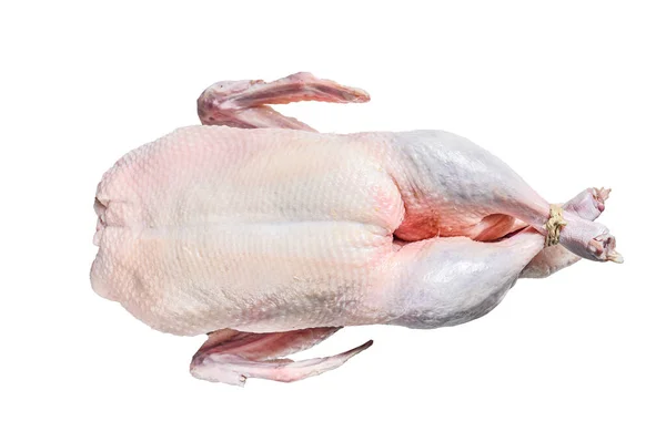 Сырая Целая Утка Мясо Птицы Изолированный Белом Фоне — стоковое фото