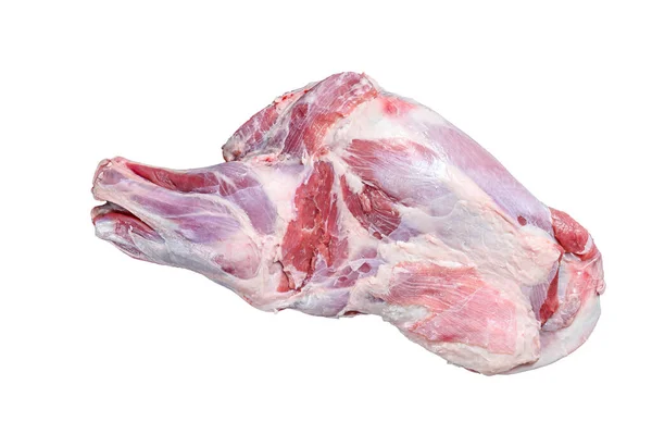Carne Cruda Cordero Aislado Sobre Fondo Blanco — Foto de Stock